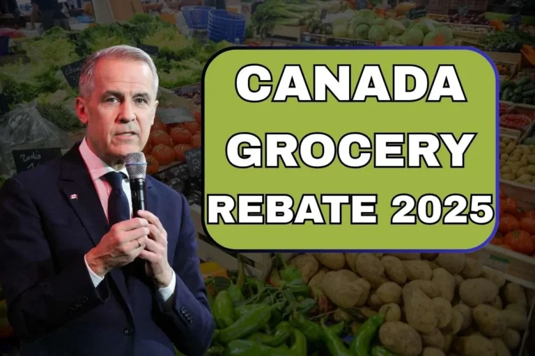 Canada Grocery Rebate In June 2025