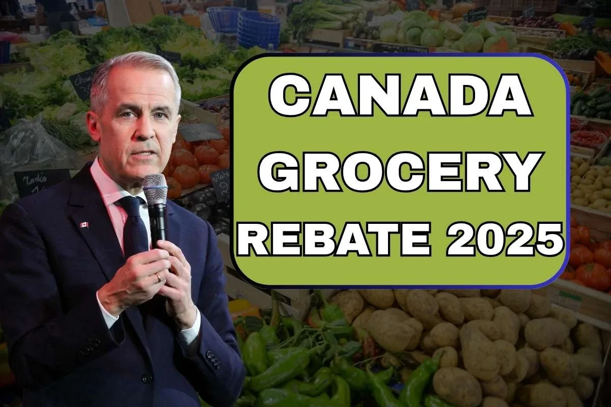 Canada Grocery Rebate In June 2025
